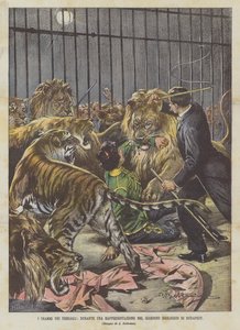 Menageriets dramaer, under en forestilling i Budapest Zoo